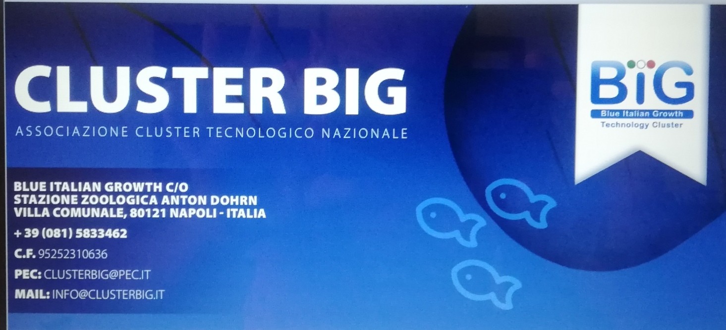 A Tunisi il Cluster Tecnologico Nazionale Blue Italian Growth parteciperà all’evento “MSPMED Pan-Western Mediterranean Workshop”