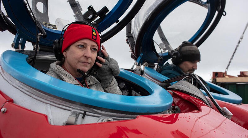 Submersible Dive In Antarctica