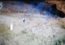Guardie WWF sorprendono e filmano un incendiario in azione in Sicilia