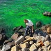 Attività di tutela ambientale della Guardia Costiera